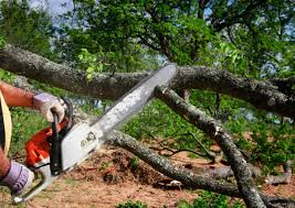 Lawn Renovation and Restoration in Spring, TX